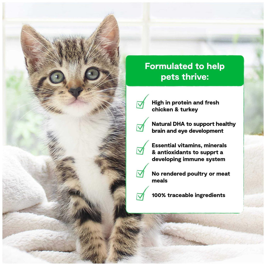 Grain Free Kitten Recipe U5335