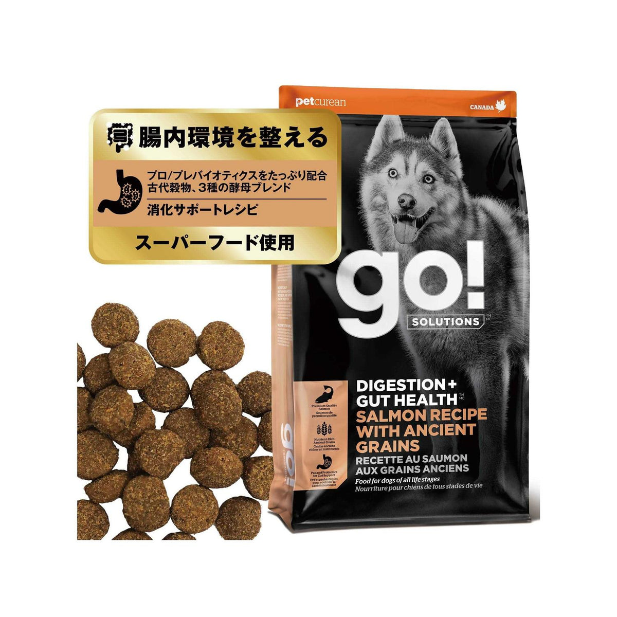 Salmon Recipe with Ancient Grains Dog Food O196