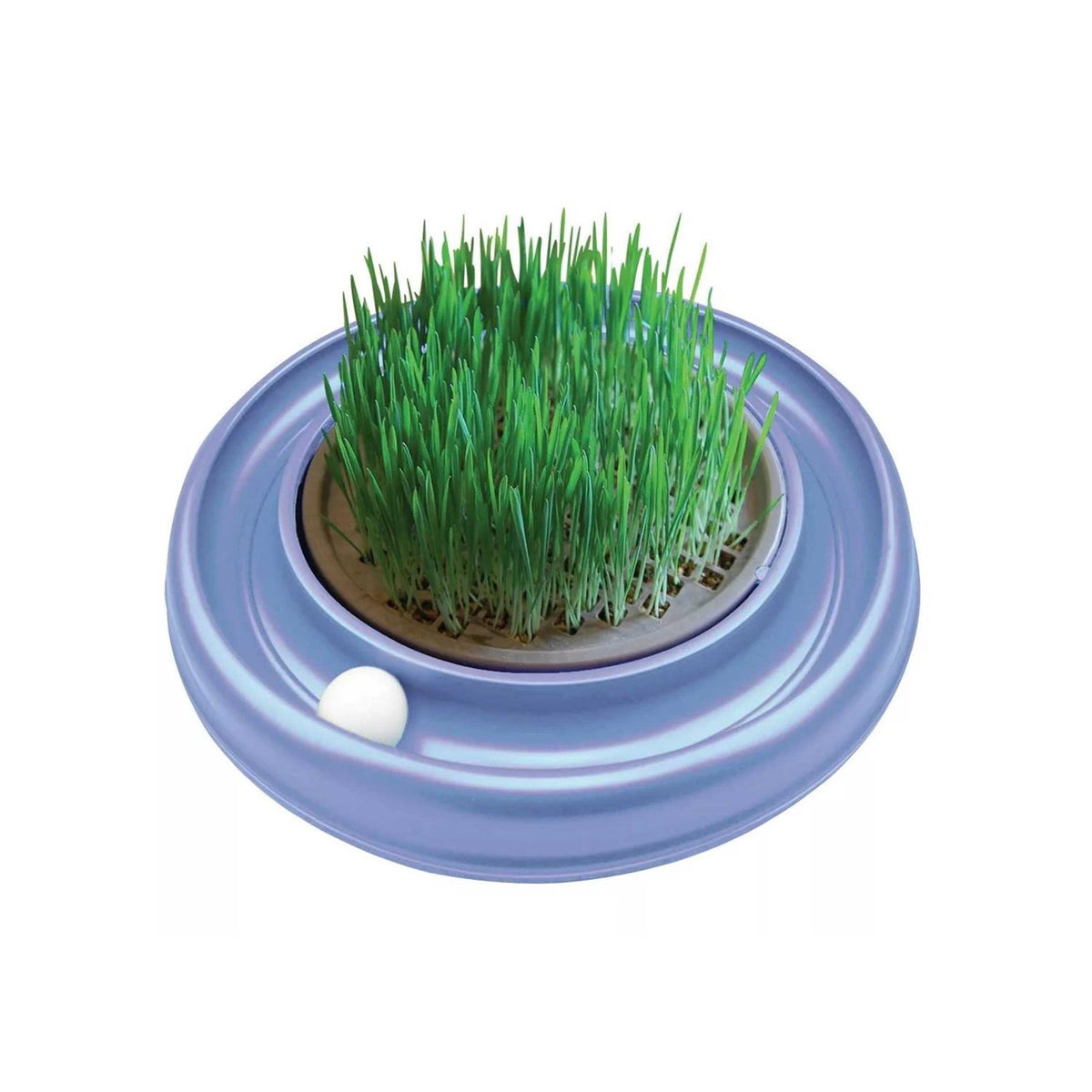 Cat Toy F4917