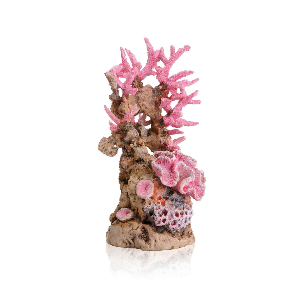 Reef Ornament S81514