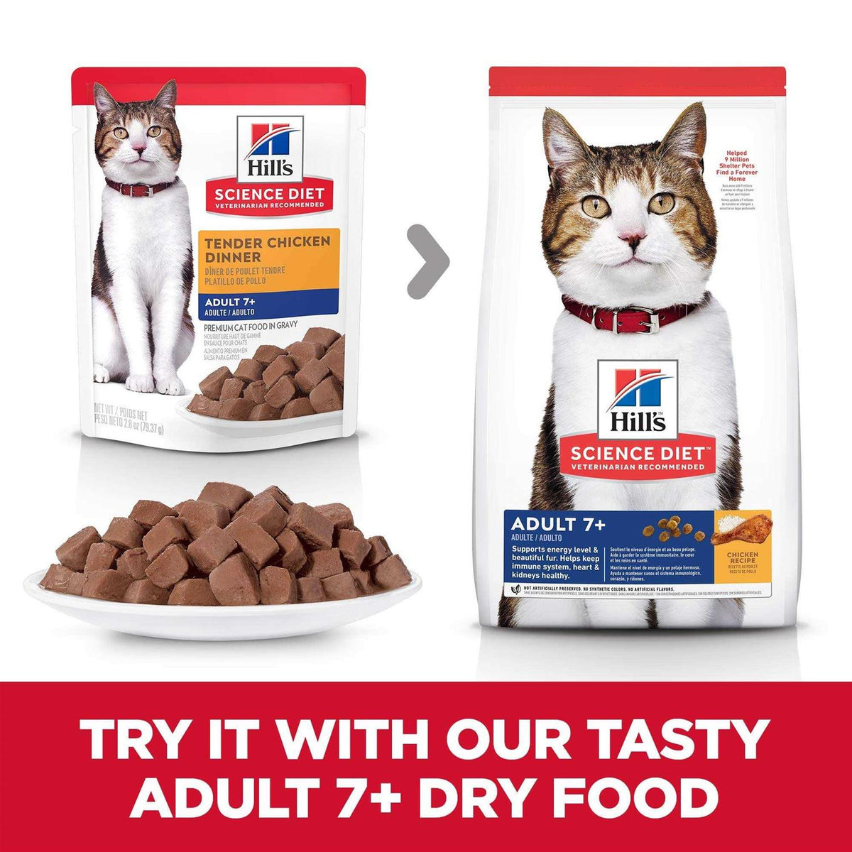 Tender Chicken Dinner Wet Cat Food A450123