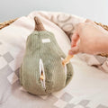 Snuffle Gourd Dog Toy V971072