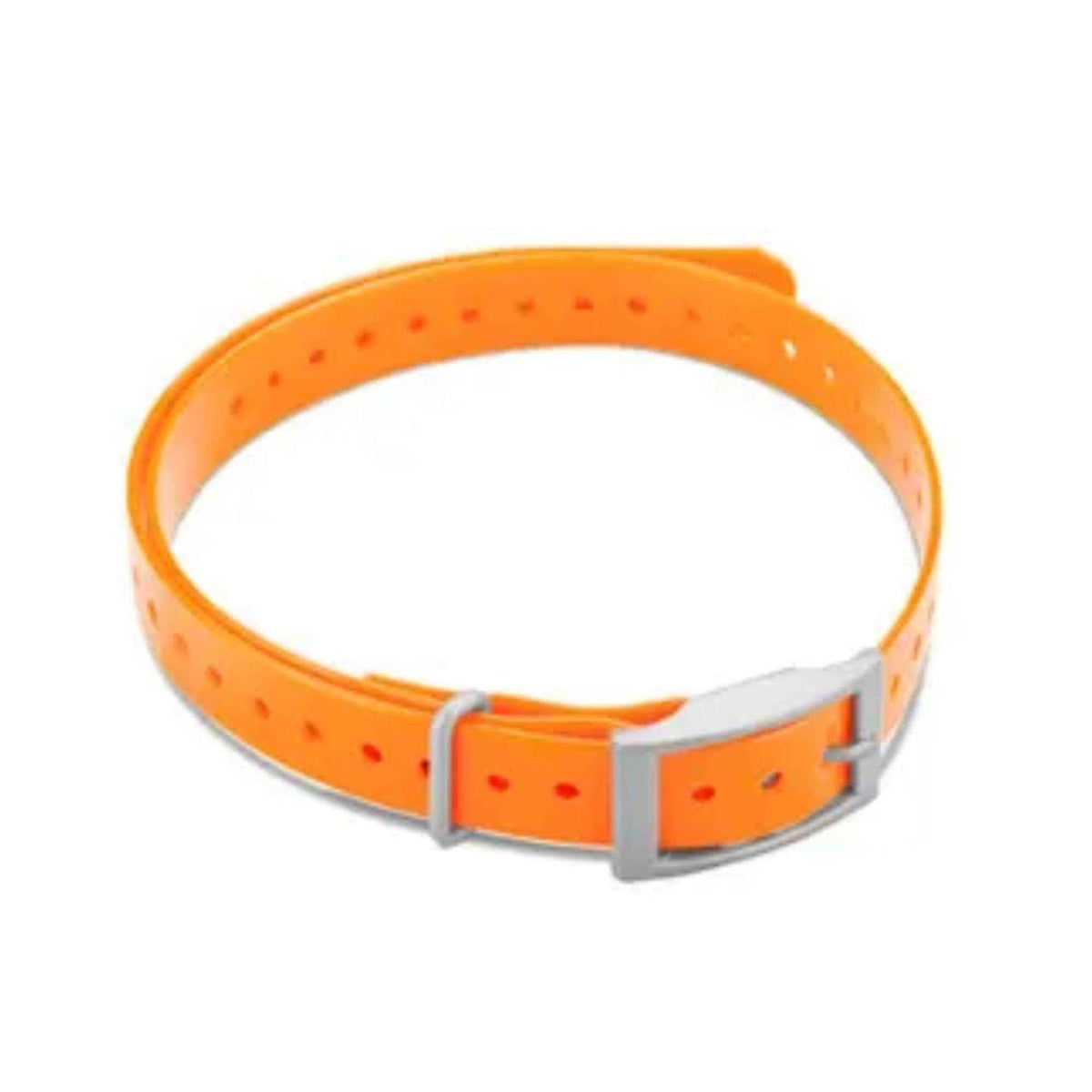 Collar Strap Z317