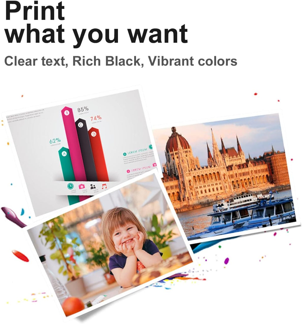 Black Ink Cartridge 2 Packs Z29517