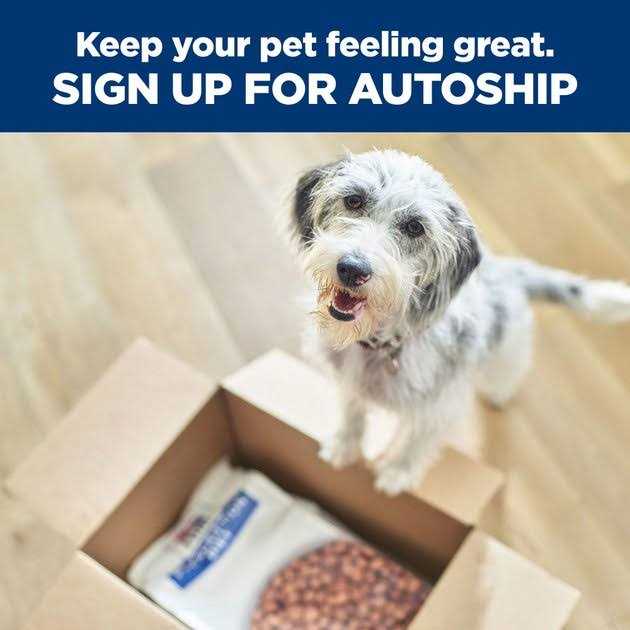 Dog Treats F32752