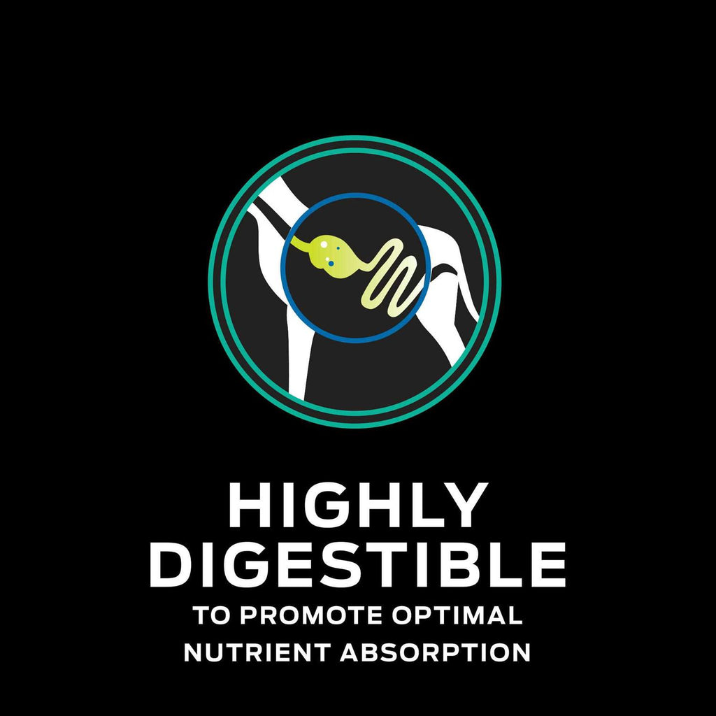 Gastroenteric Dry Dog Food P71875