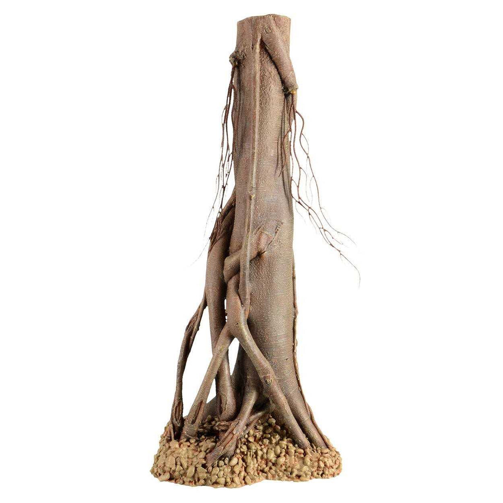 Mangrove Root Y83990