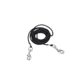 Cat Tie Out L2155