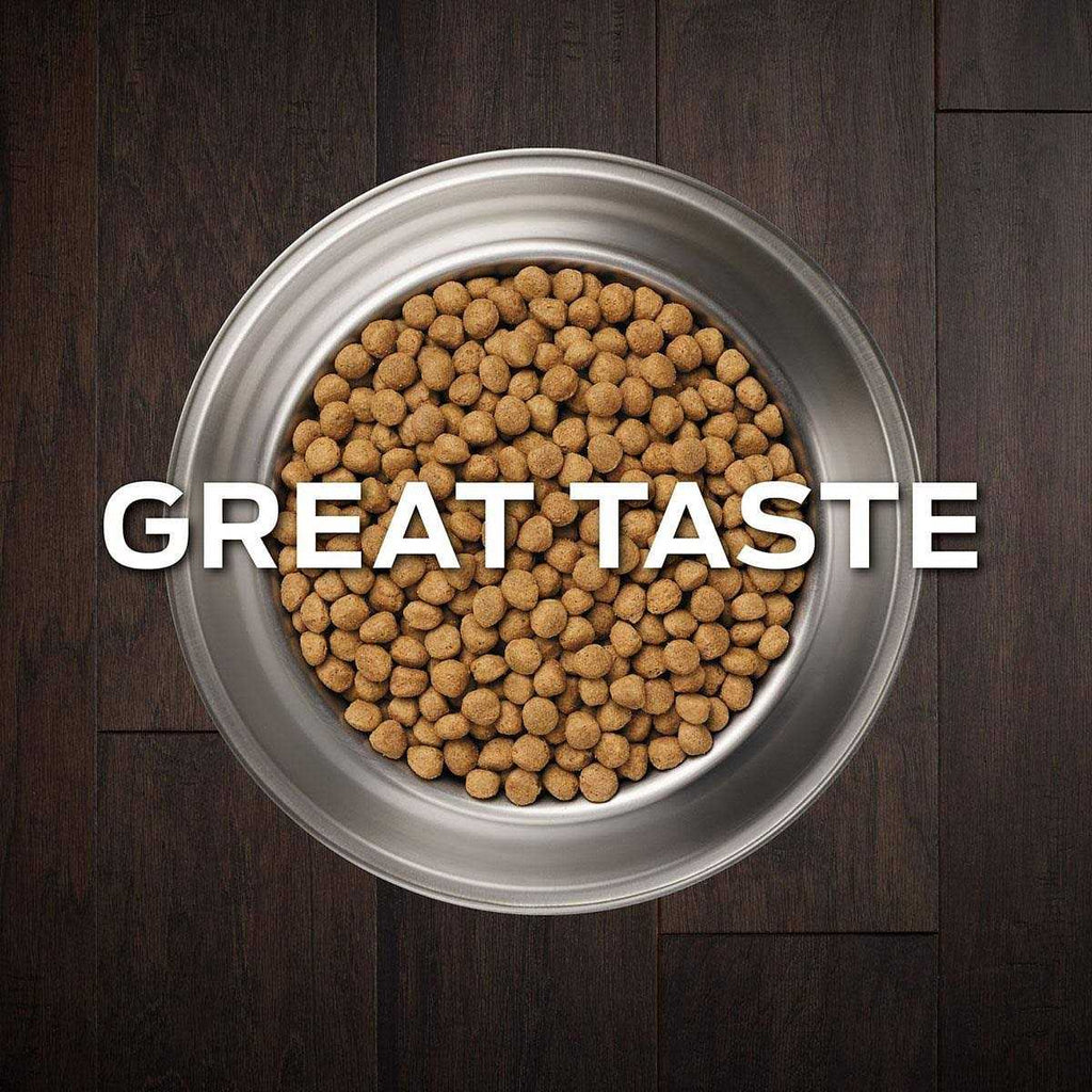 Gastroenteric Dry Dog Food P71875