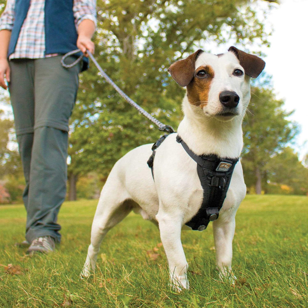 Tru Fit Smart Harness J3220