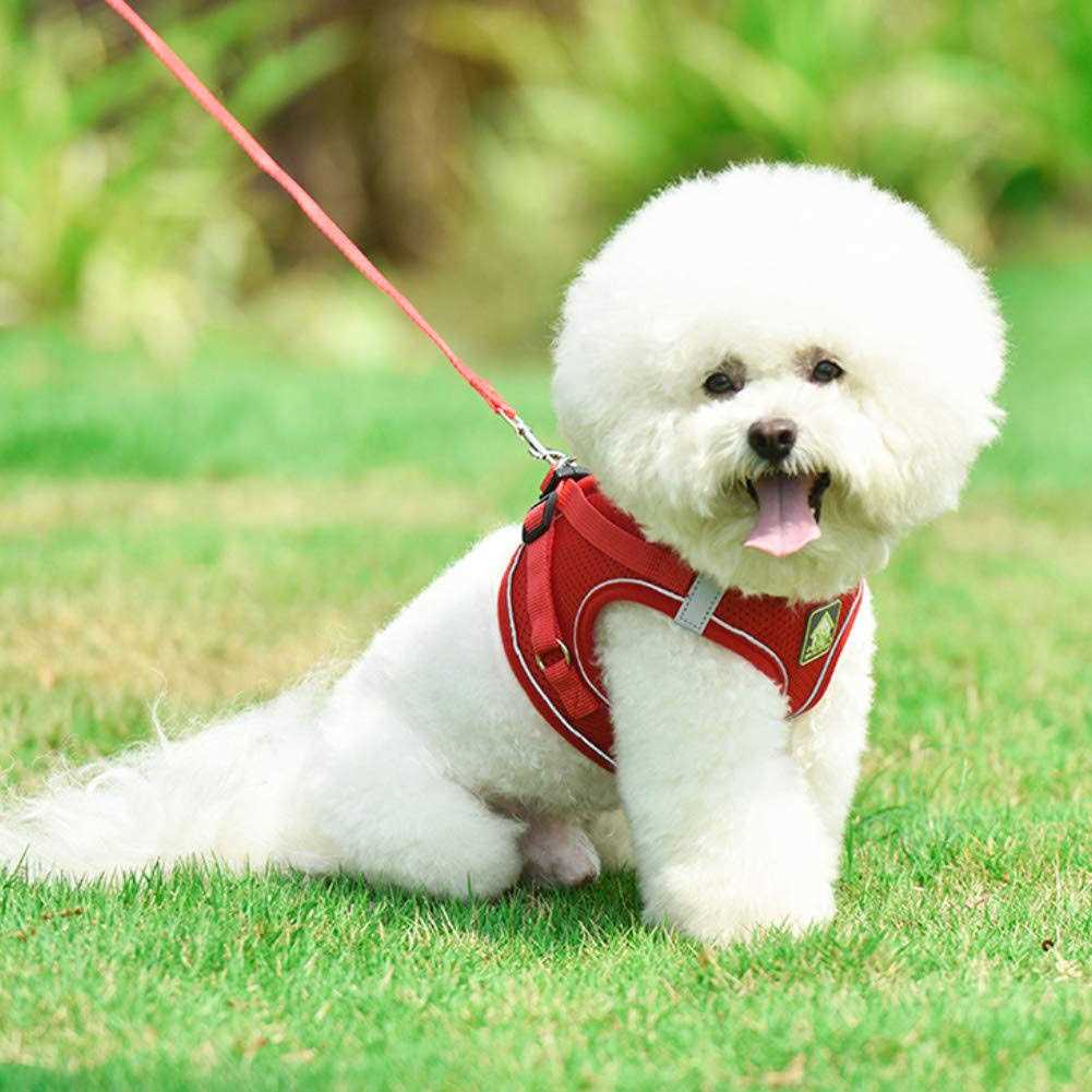 No-Pull Soft Mesh Reflective Adjustable Dog Harness and Leash Set M672345