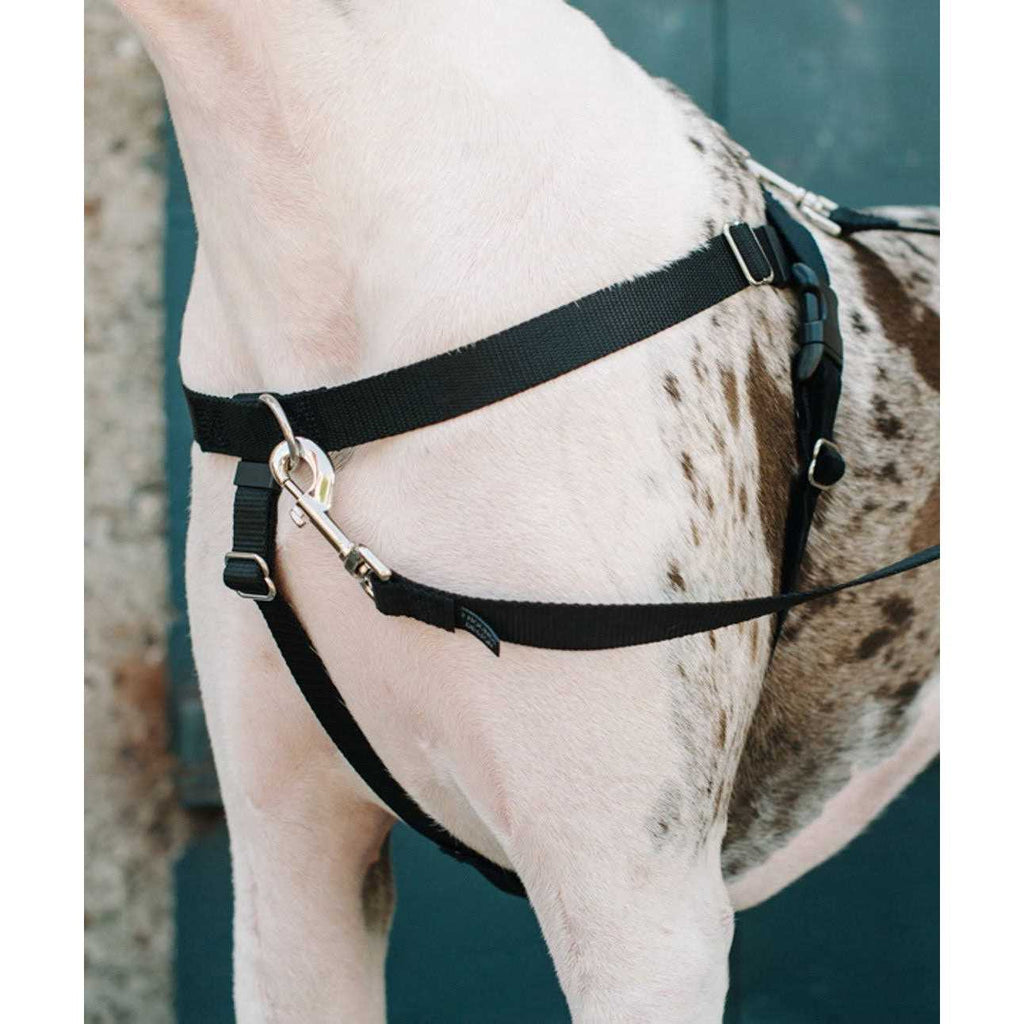 No Pull Dog Harness Leash R87210