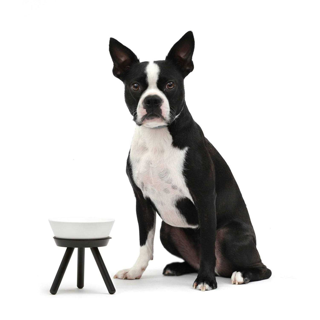 Table Pets L750199