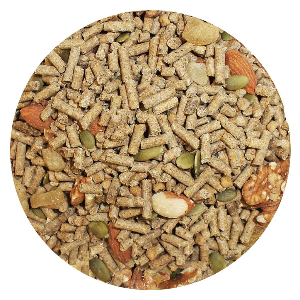 Squirrel Food T681