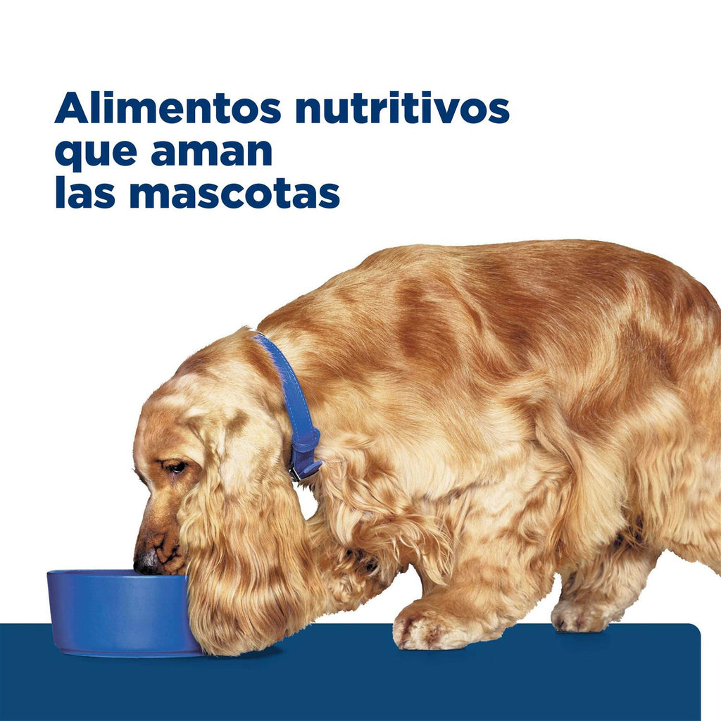 Dog Nutrition Q138546