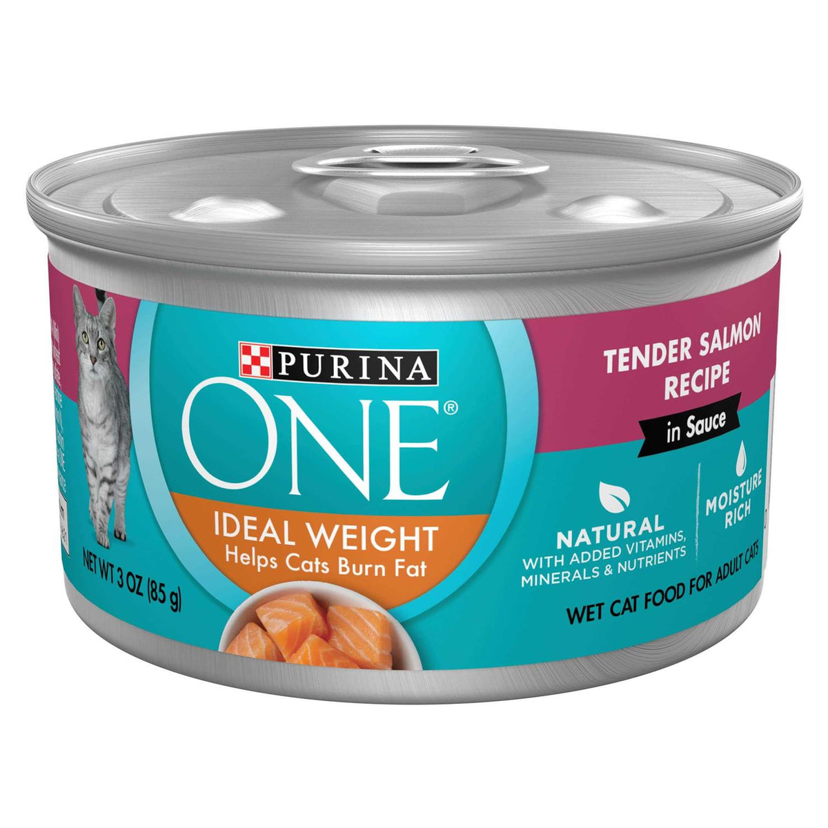 Wet Cat Food W92929