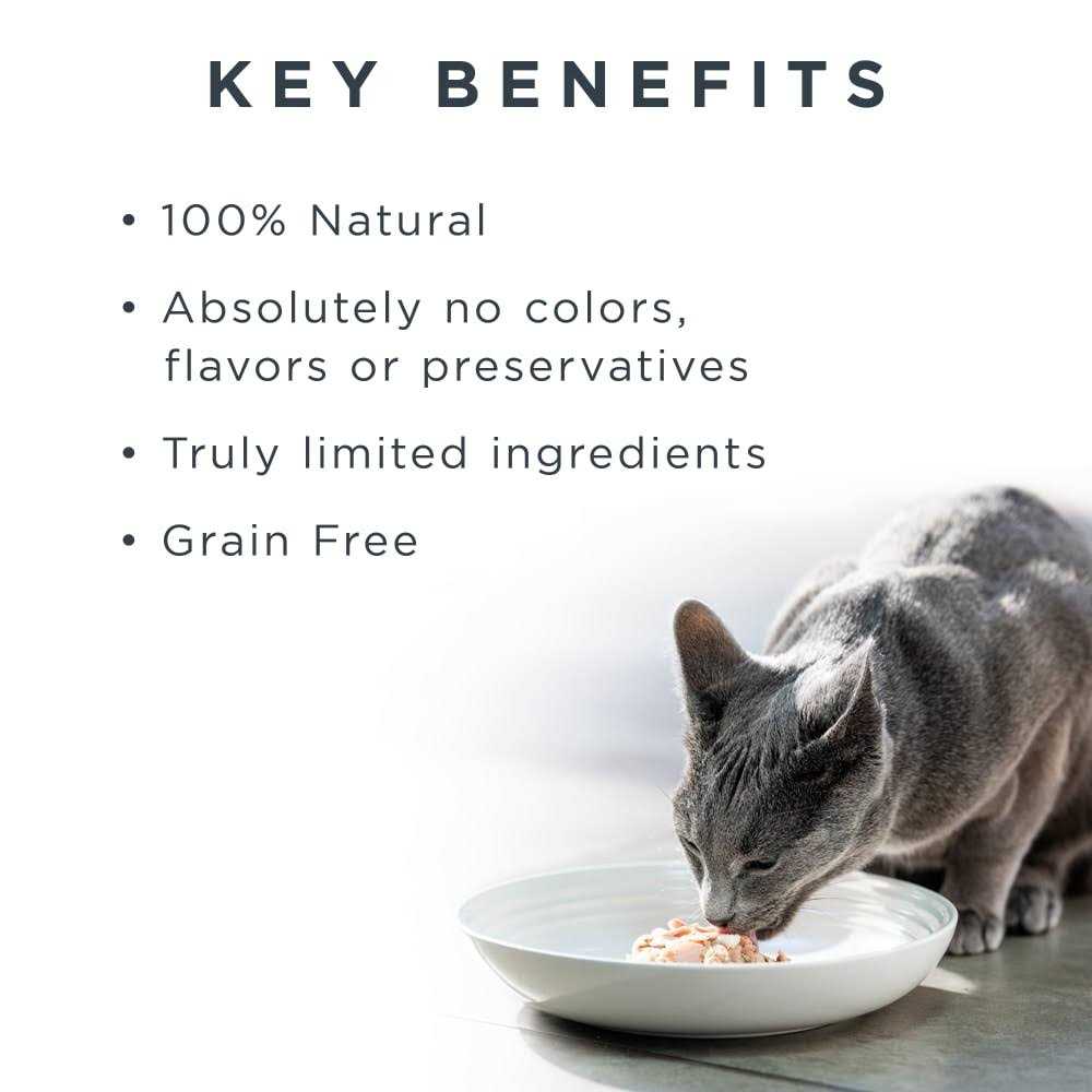 Grain Free Tuna Fillet Broth Wet Cat Food O83345