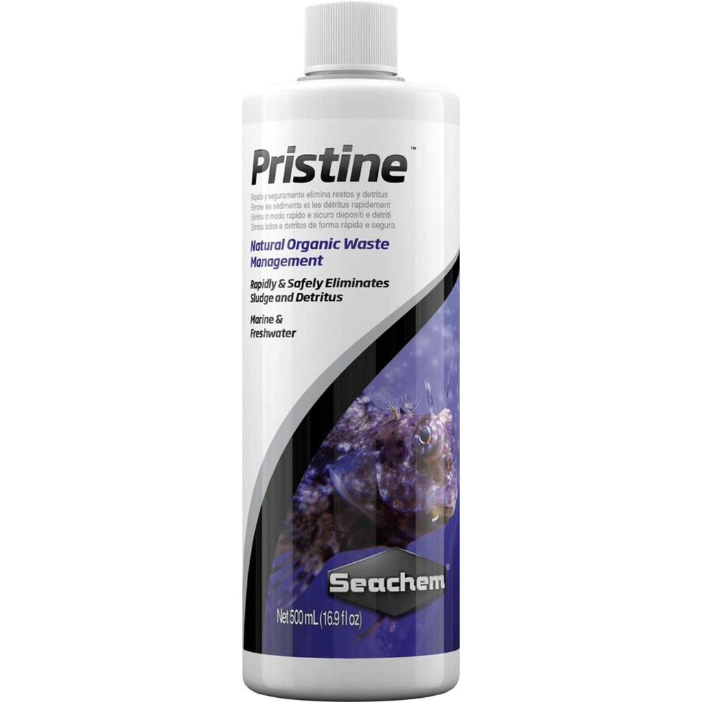 Pristine J884822