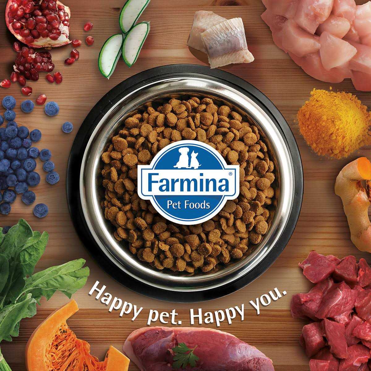 Lamb Dry Cat Food M596135