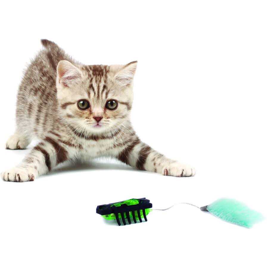 Robotic Cat Toy E25415