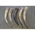5 Pcs Brown Raw Cow Horn Carving T240044