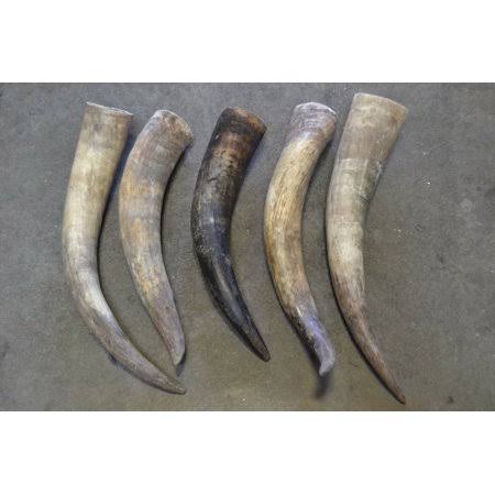 5 Pcs Brown Raw Cow Horn Carving T240044
