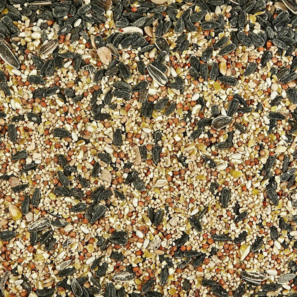 Wild Bird Food I656886