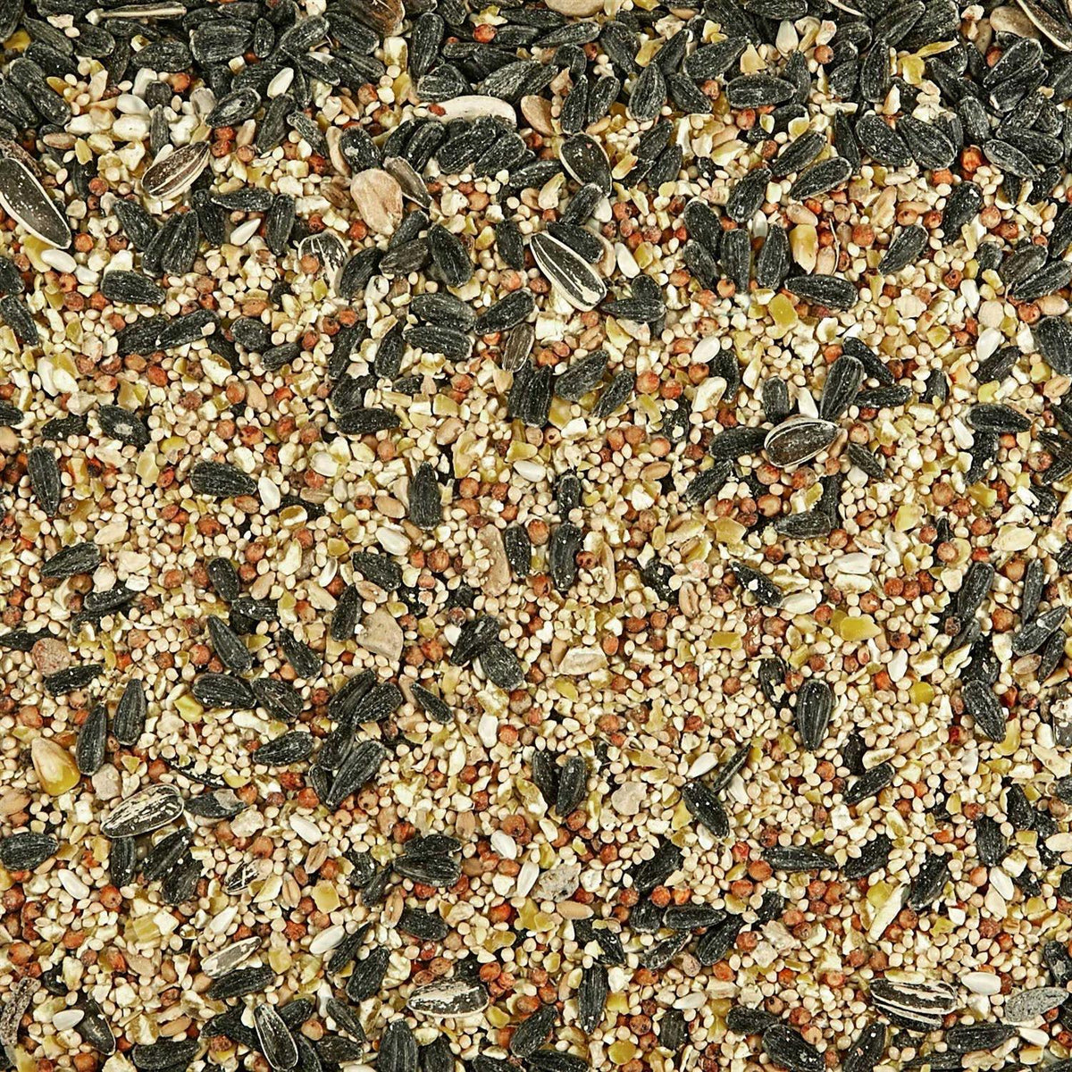 Wild Bird Food I656886