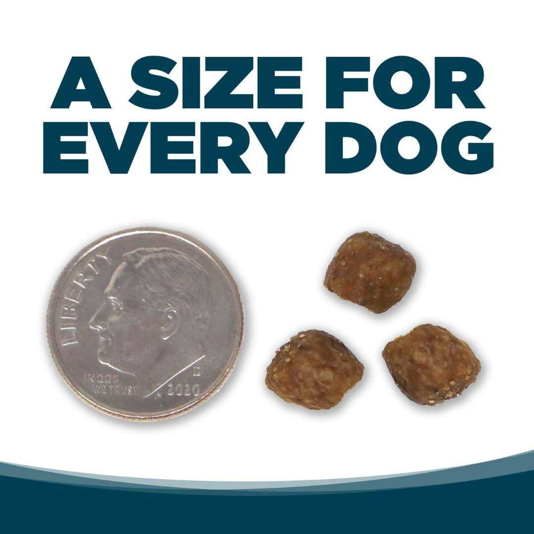 Chicken & Rice Dry Dog Food L964