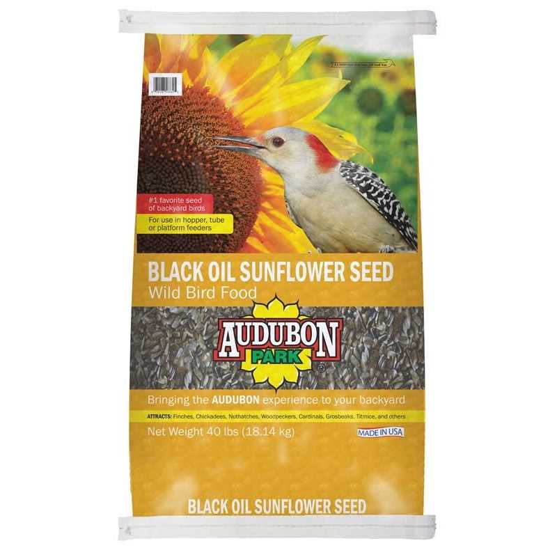 Black Oil Sunflower Seed Wild Bird Food H64856