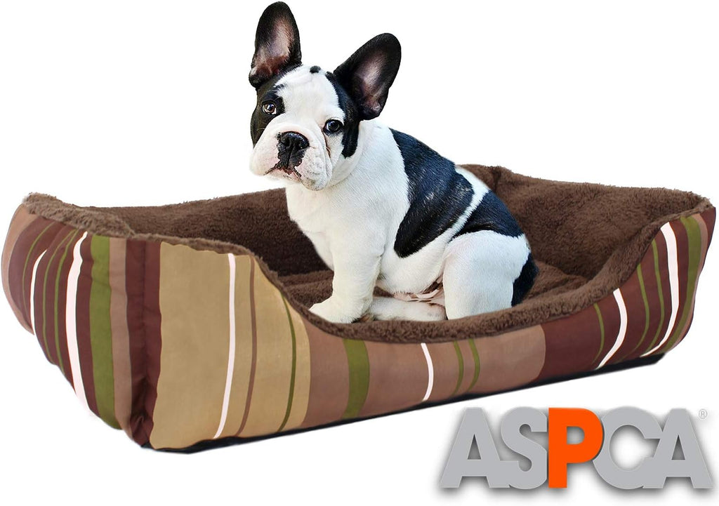 Dog Bed Pack of 2 Q334729