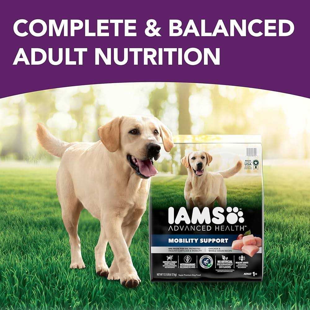 Chicken & Whole Grain Recipe Adult Dry Dog Food B955006