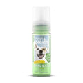 Fresh Breath Mint Foam U8332