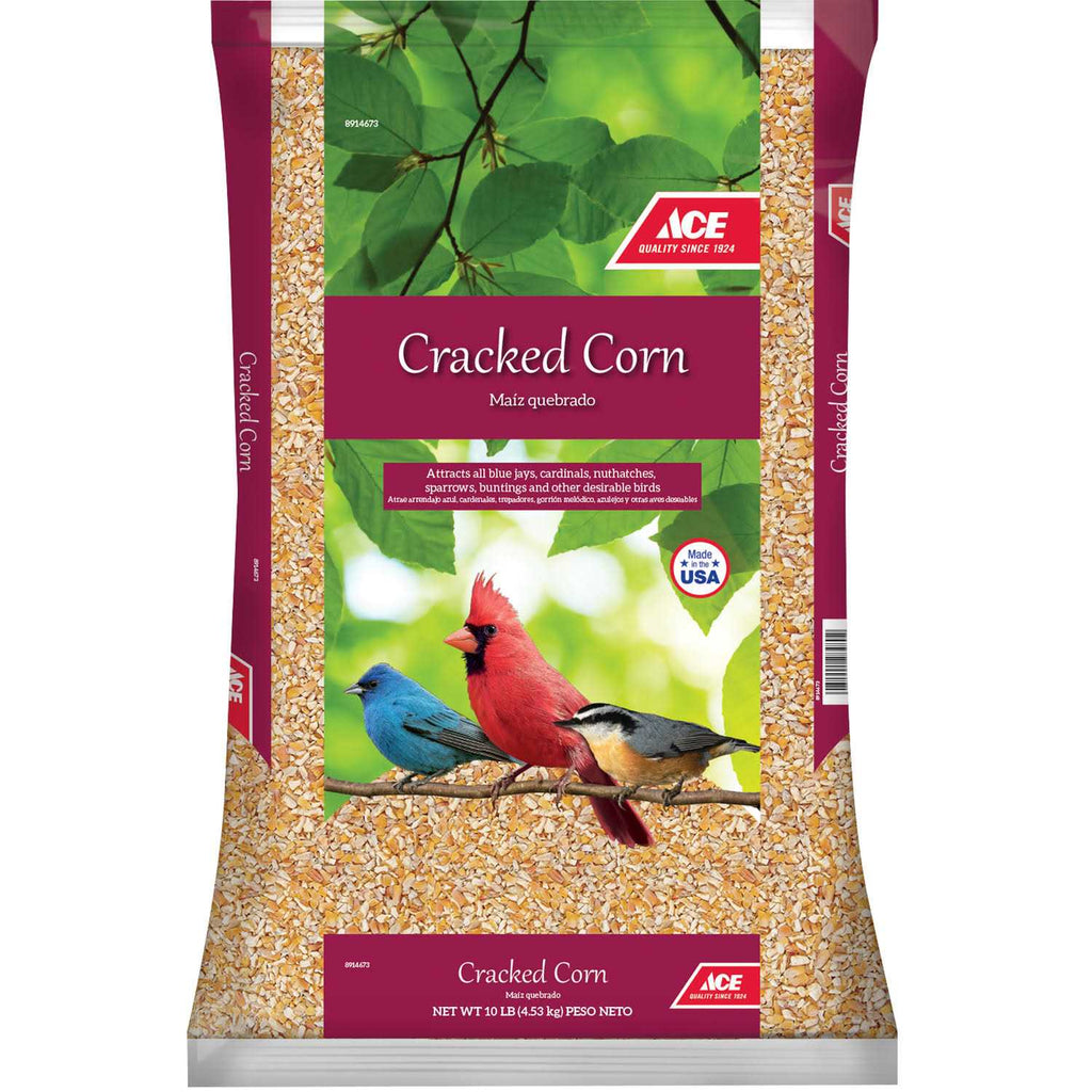 Corn L8851