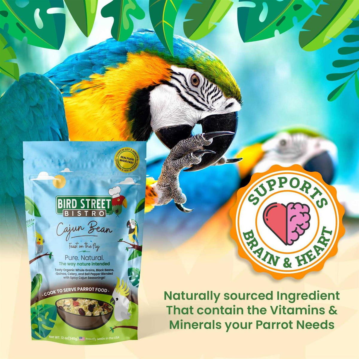 Bird Food O119106