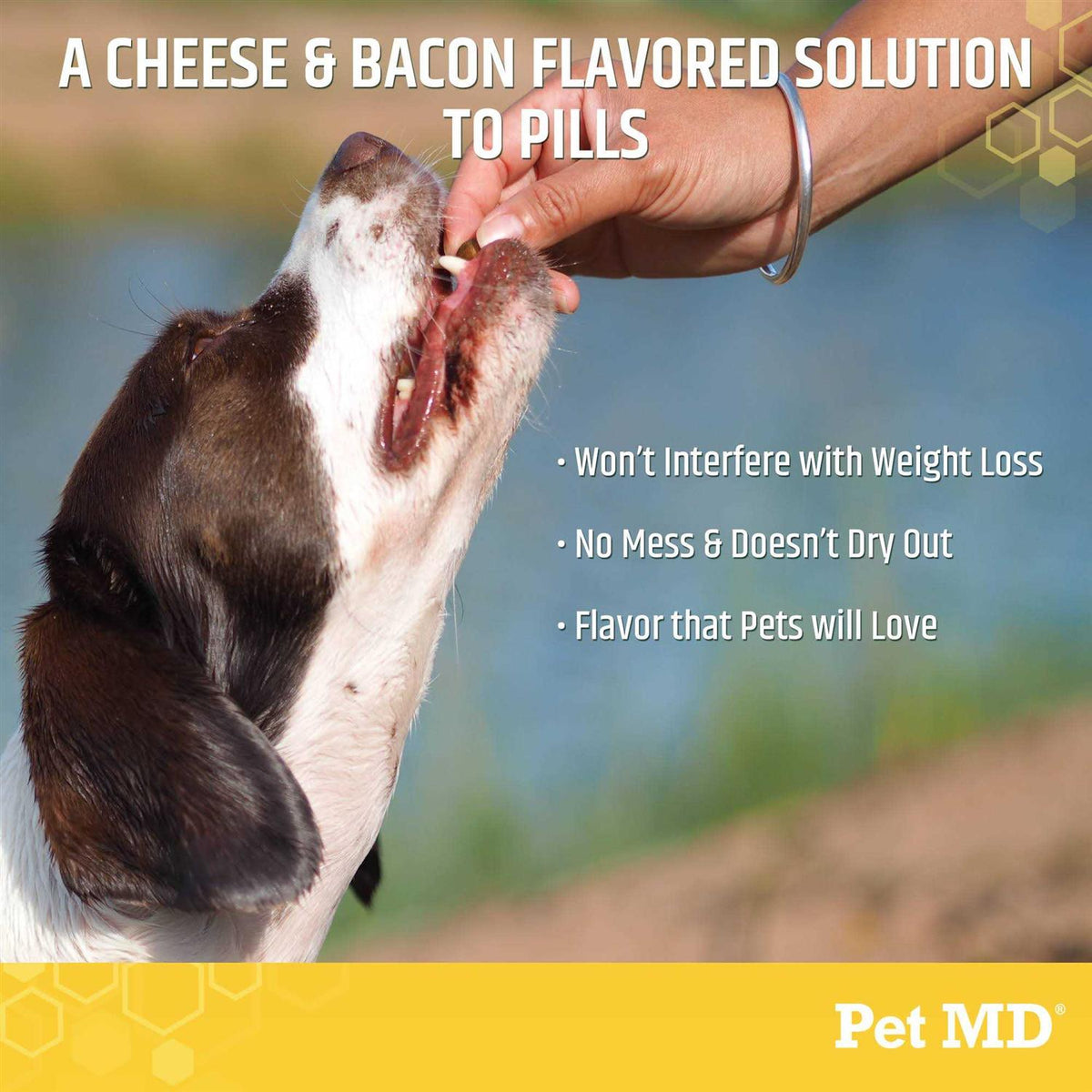 Cheese & Bacon Flavor Pill Paste for Dogs W23668