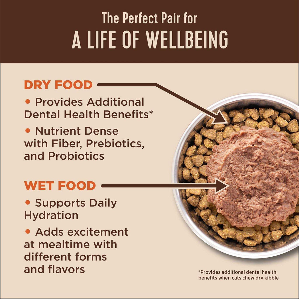 Digestive Health Pate Recipe Wet Cat Food G4192