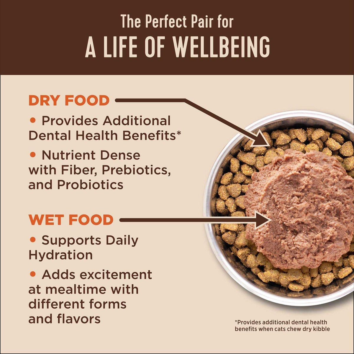 Digestive Health Pate Recipe Wet Cat Food G4192