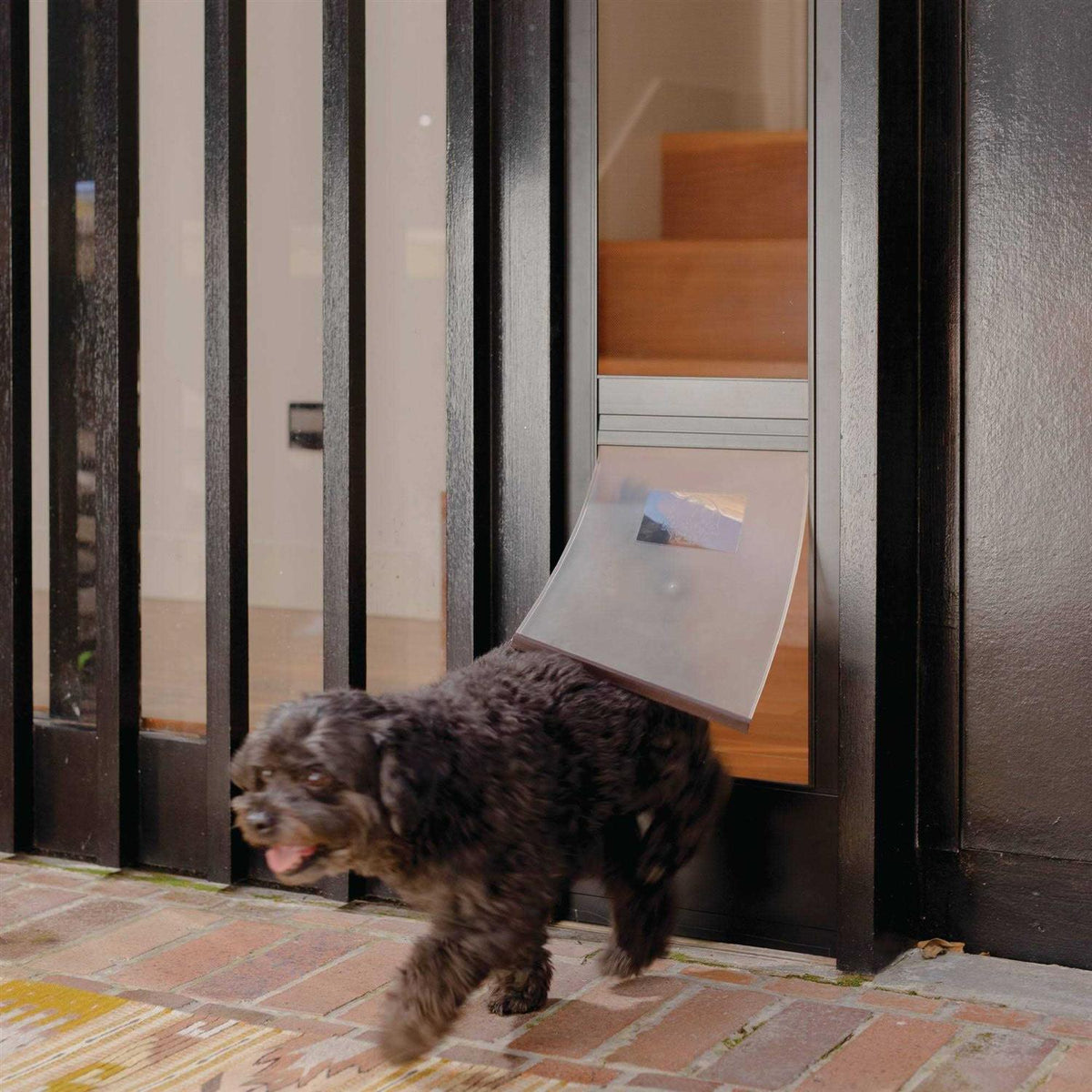 Black Patio Dog & Cat Door X476219
