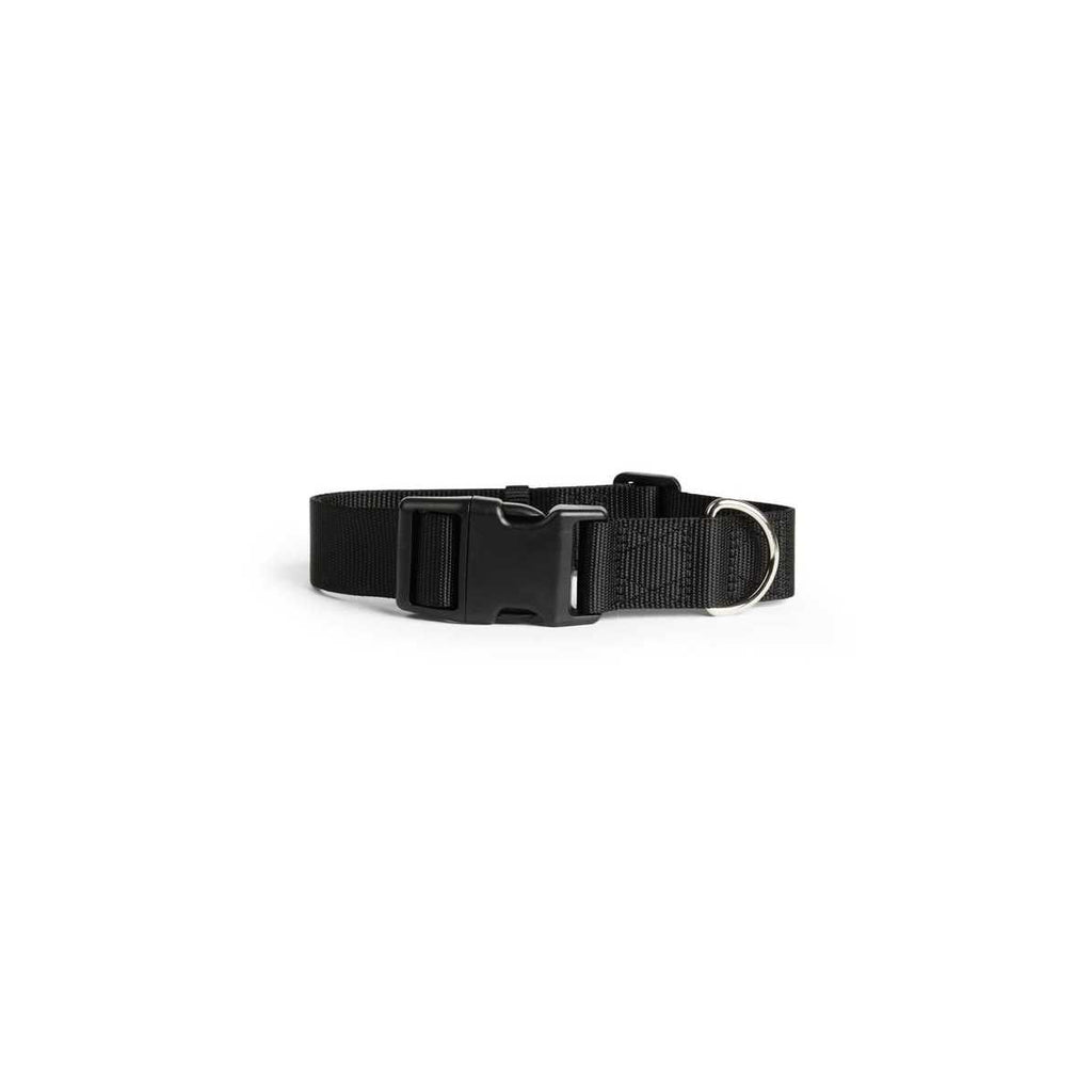 Adjustable Dog Collar R468847