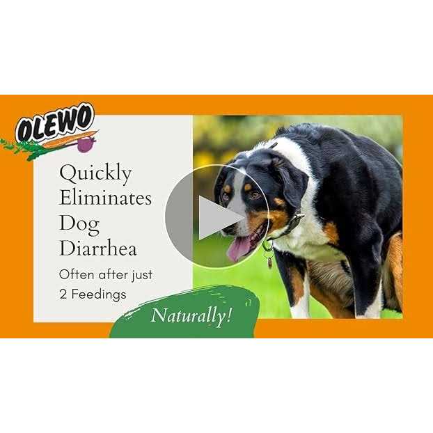 Carrots for Dogs Fiber W817639