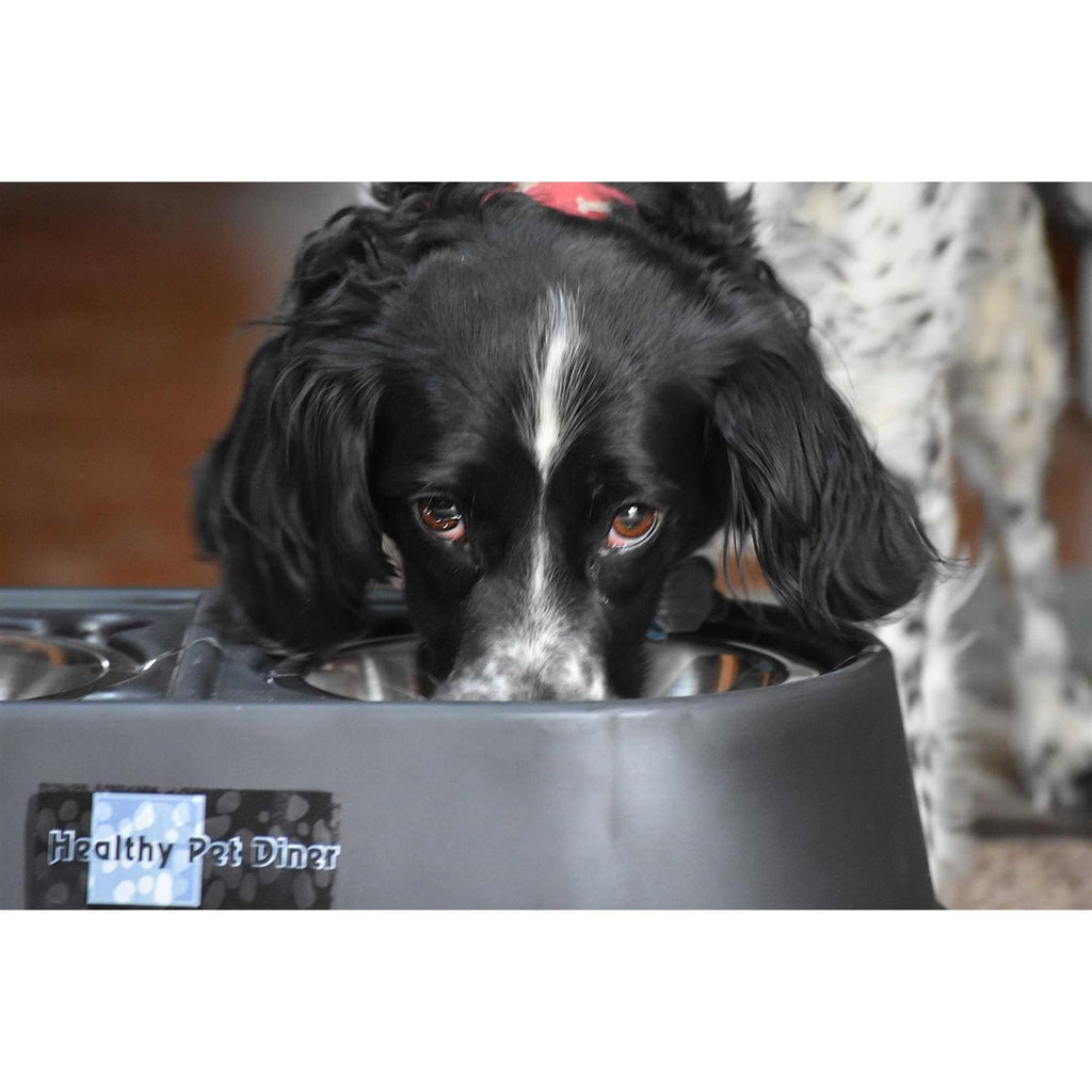 Elevated Dog Feeder I377151