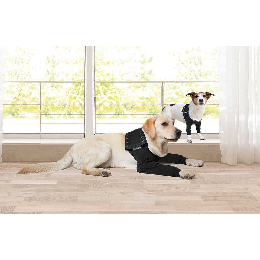 Dog Recovery Sleeves K24261