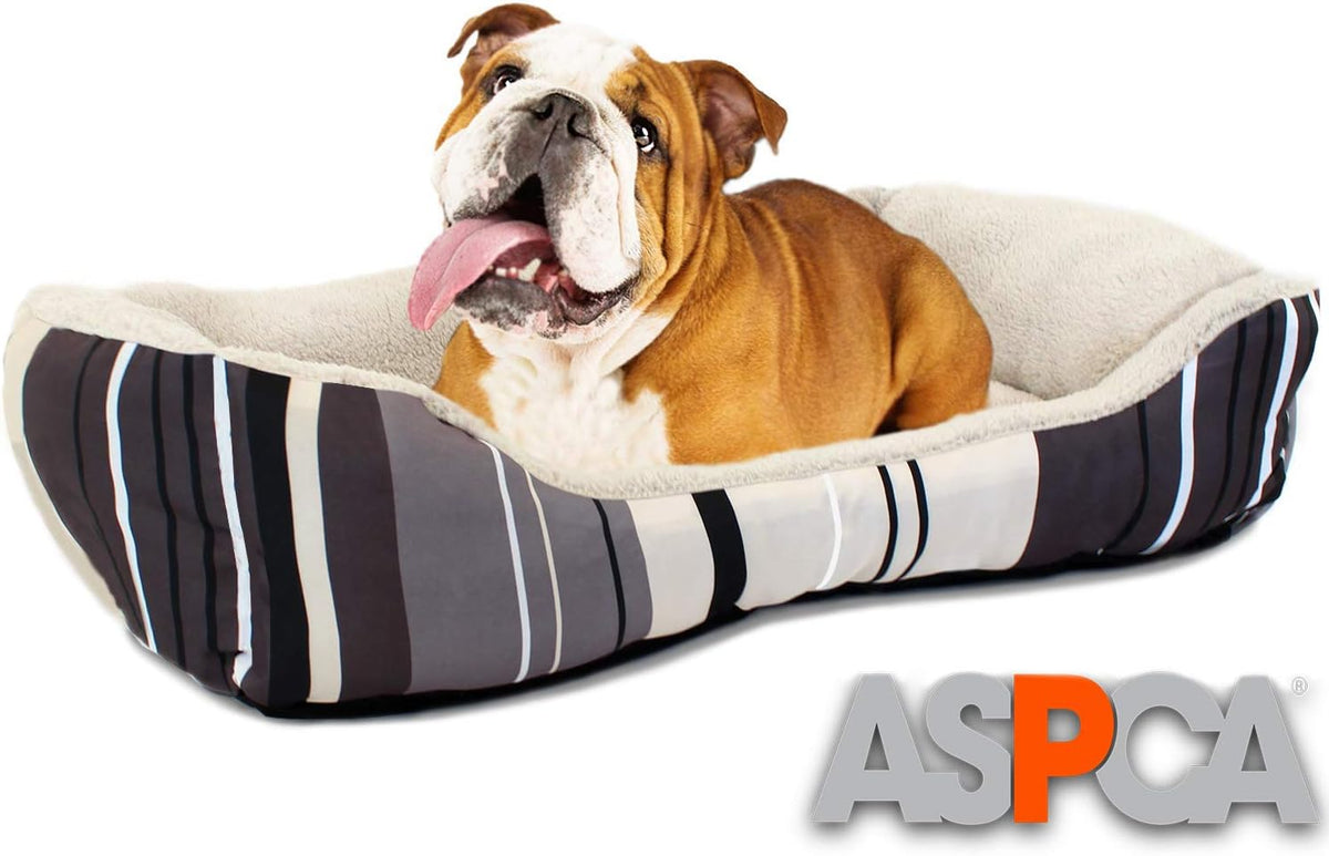 Dog Bed Pack of 2 Q334729