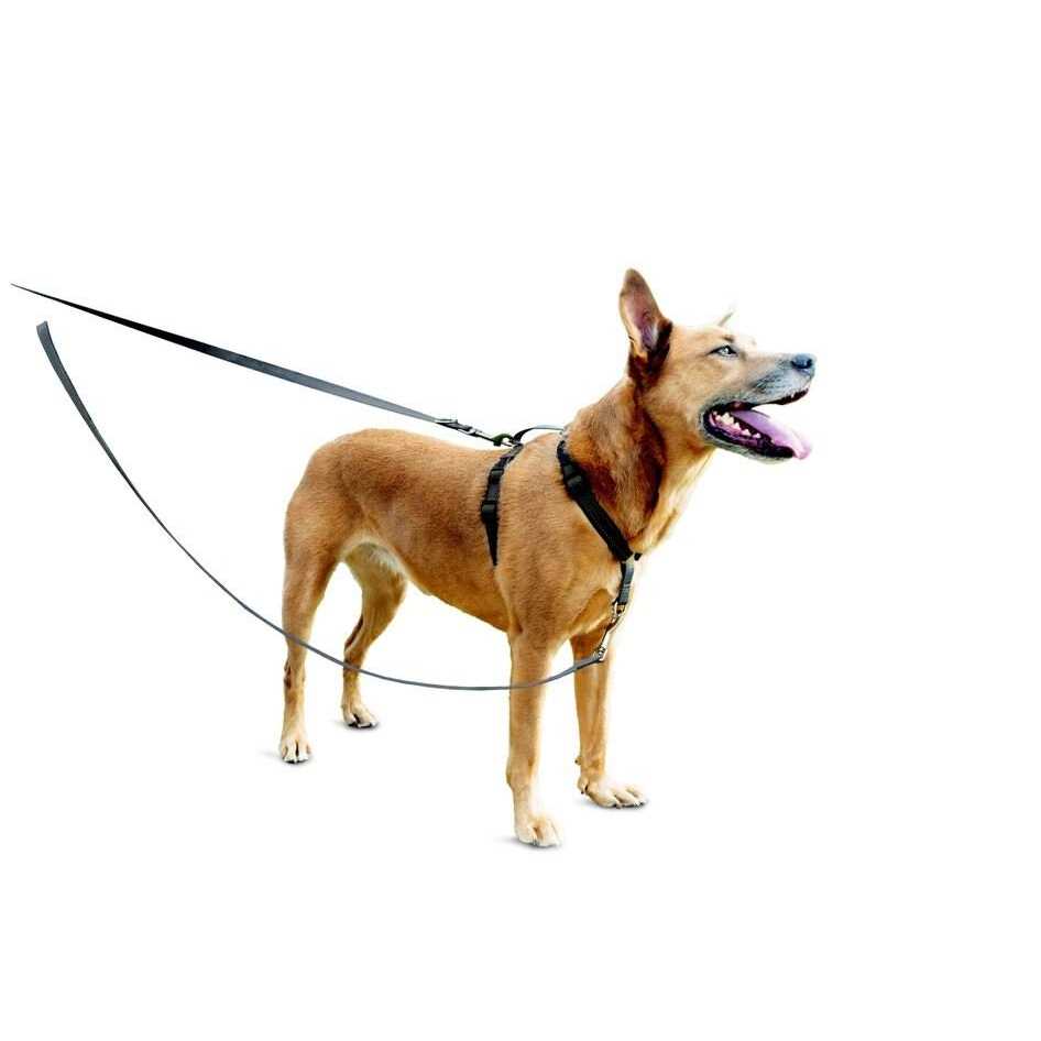 3 in 1 Harness with Leash D382966