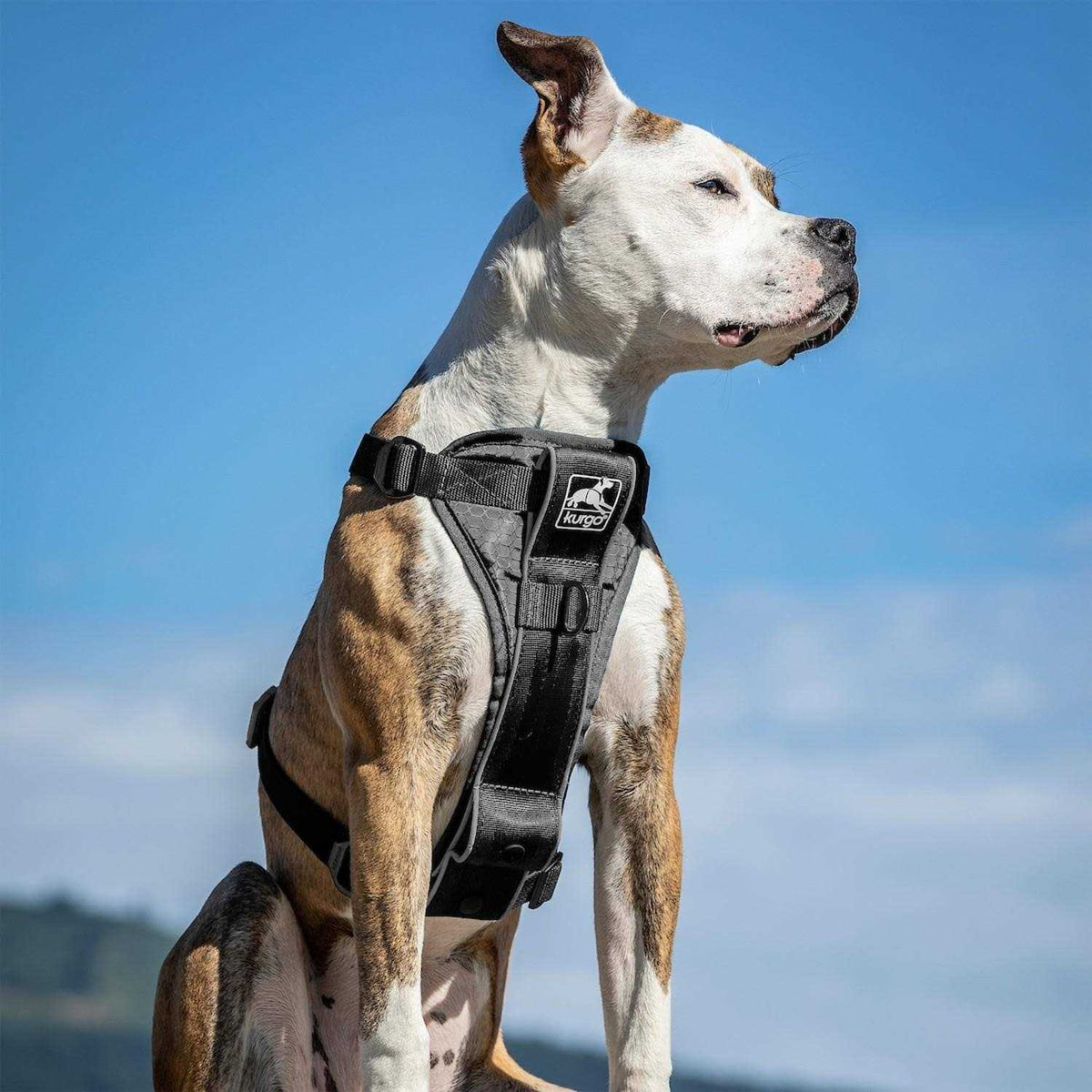 Tru Fit Smart Harness J3220