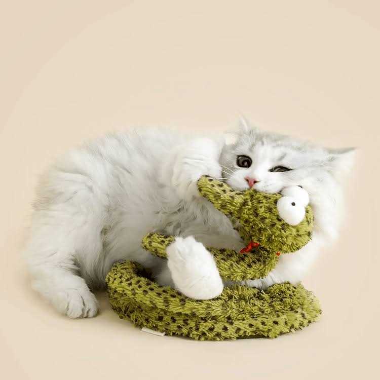 Cat Toy I314