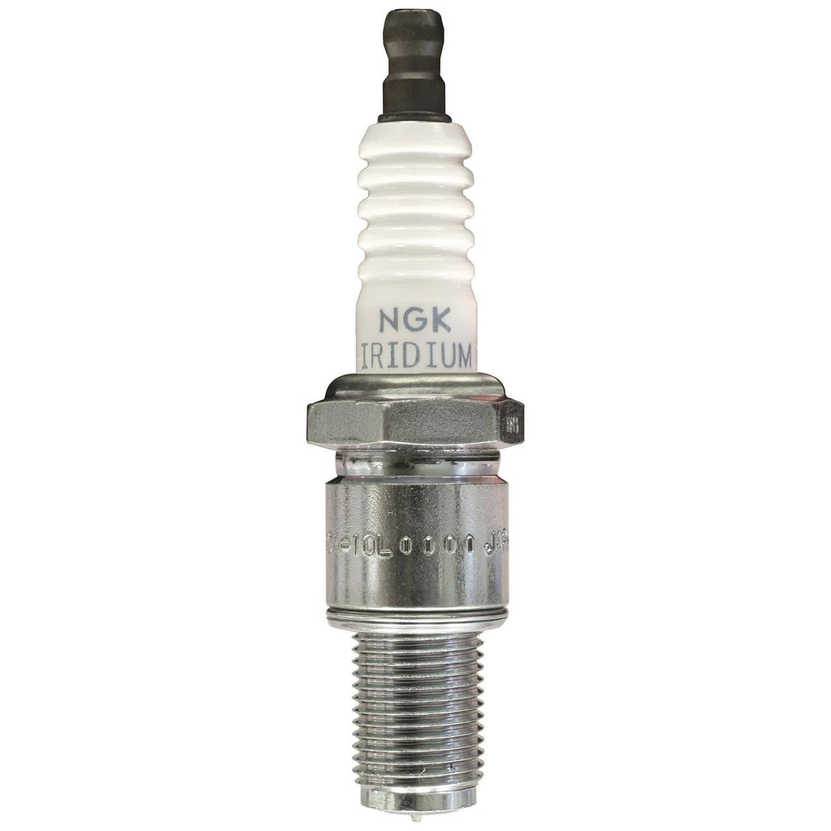 Spark Plug V703613
