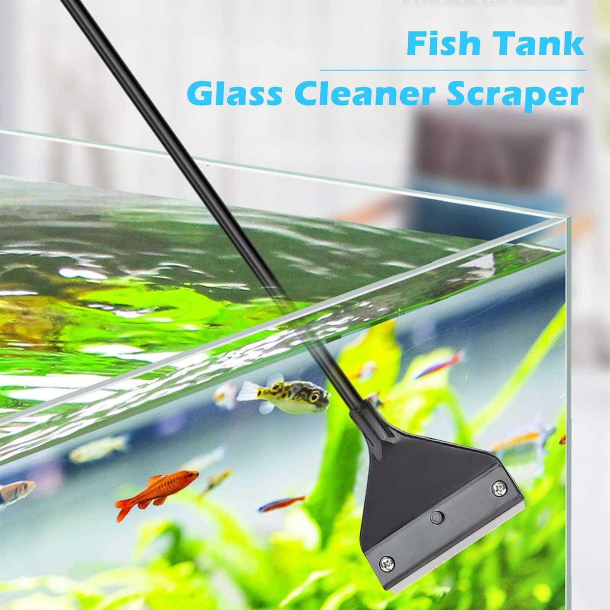 Algae Scraper for Glass Aquariums P307684