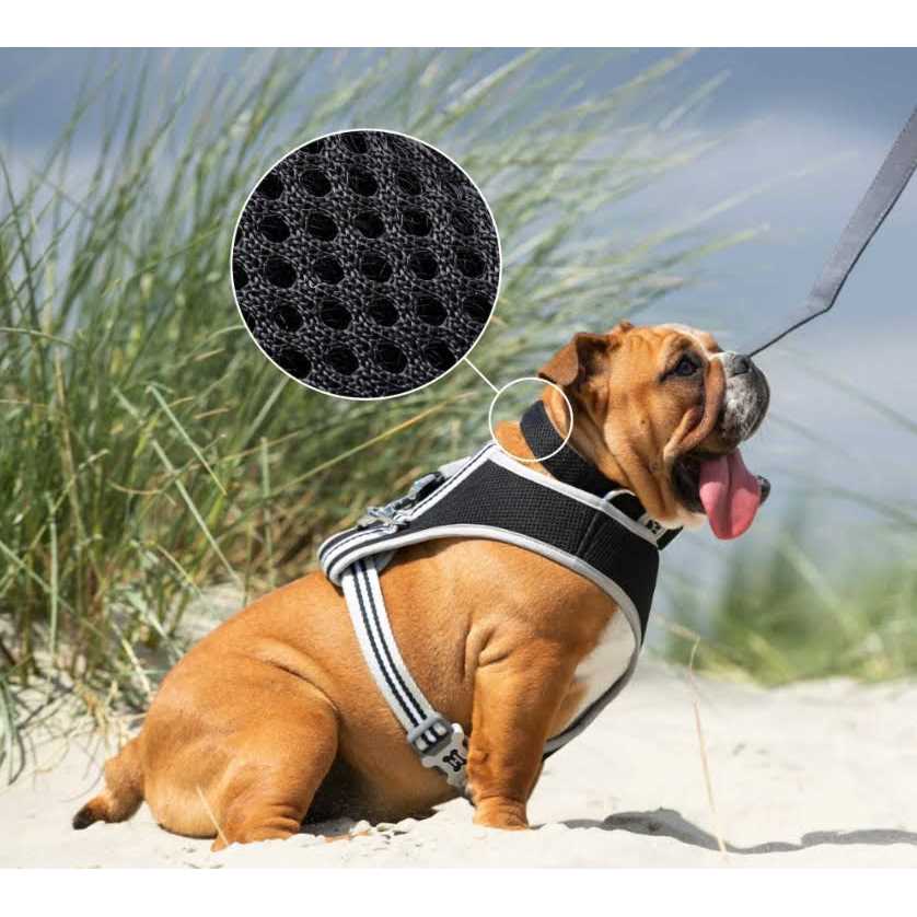 Mesh Dog Collar Y259465